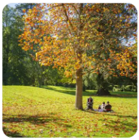 老王论坛VIP账号共享