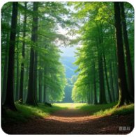 草榴邀请码,草榴社区邀请码和小草邀请码