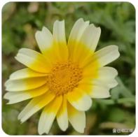 X1080X 高清论坛会员 